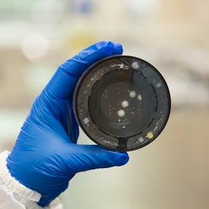 Automatic-Microbial-Testing