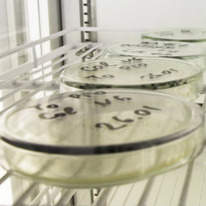 microbiology_science