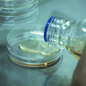 rmm_biologics_bacterial_growth
