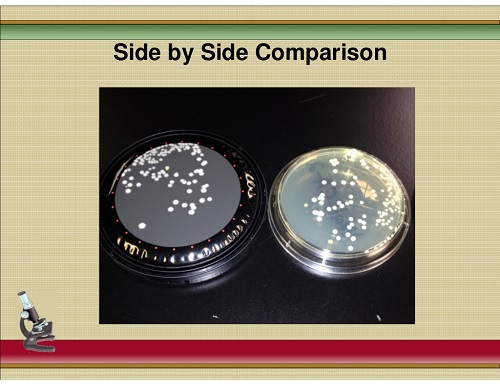 side_by_side_comparison