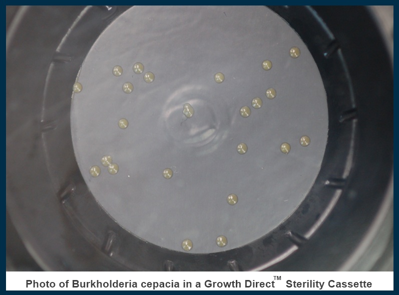 Sterility Testing Rapid Micro Biosystems