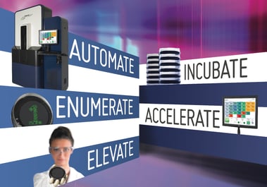 Automate.jpg
