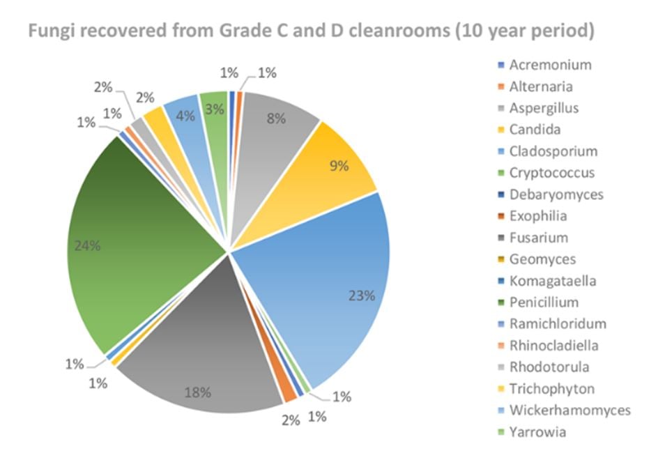 Common Fungal Contaminants and Their Effects
