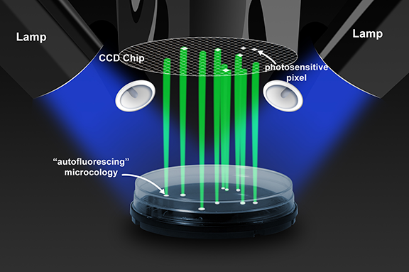 Solutions - RD - Image Tile - LED light