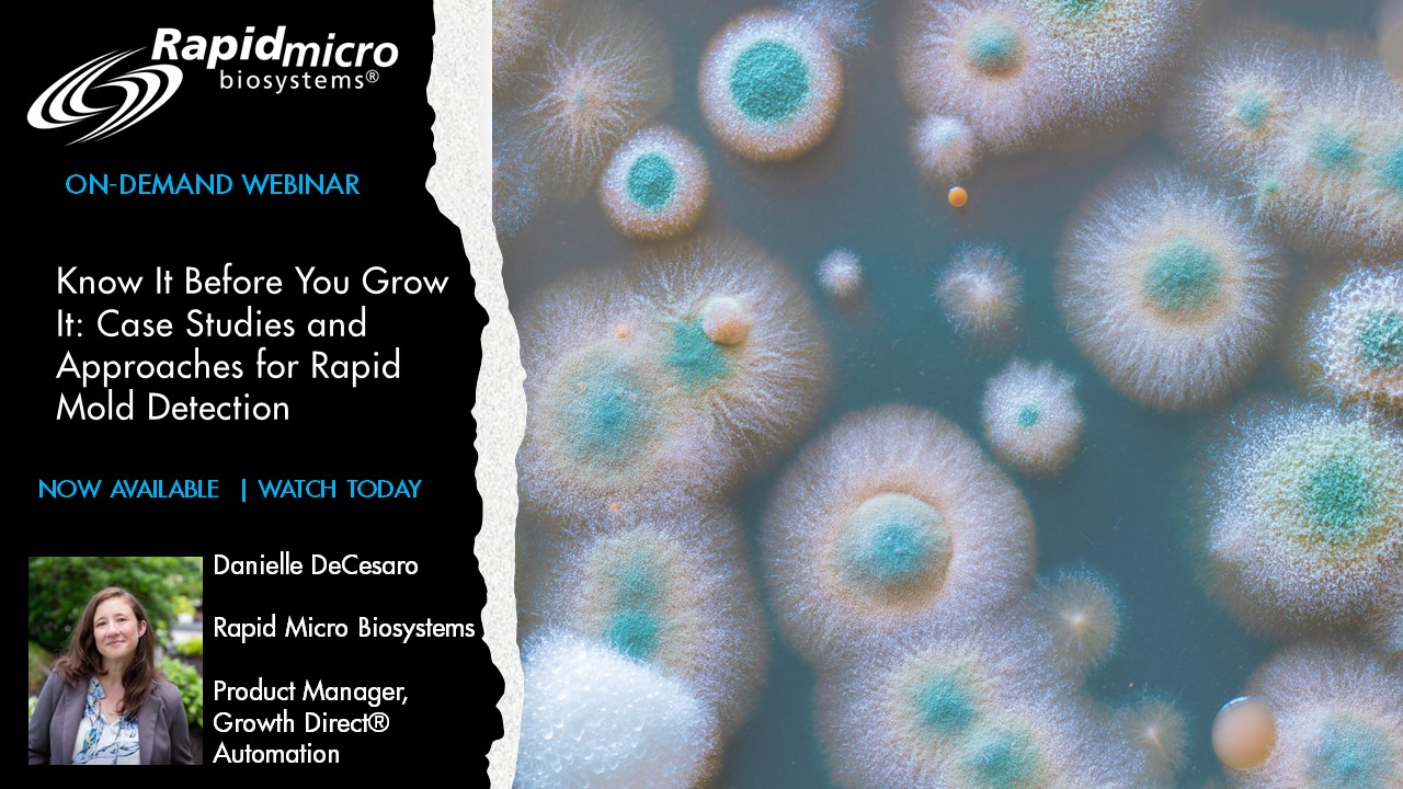 Danielle PMC Mold On-demand webinar banner